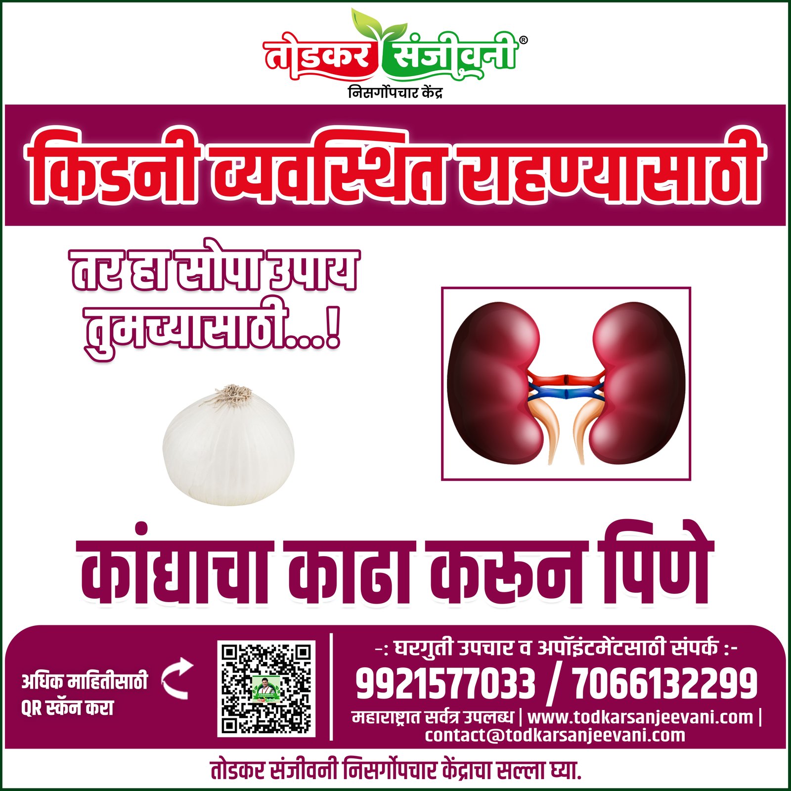 Kidney